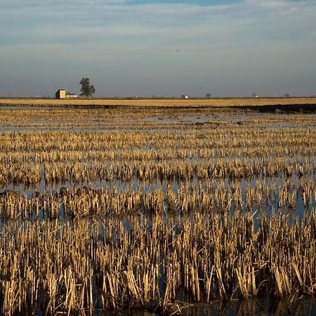 Mas Illa De Riu - Autentica Masia Del Delta Del Ebro Con Capacidad Para 20 Personas - Deltavacaciones Sant Jaume d'Enveja Luaran gambar