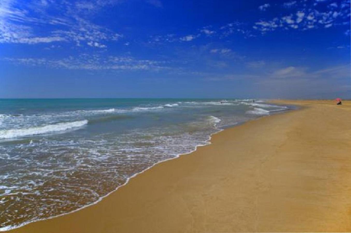 Mas Illa De Riu - Autentica Masia Del Delta Del Ebro Con Capacidad Para 20 Personas - Deltavacaciones Sant Jaume d'Enveja Luaran gambar