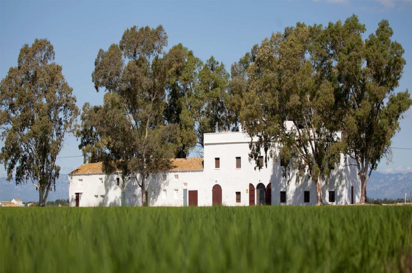Mas Illa De Riu - Autentica Masia Del Delta Del Ebro Con Capacidad Para 20 Personas - Deltavacaciones Sant Jaume d'Enveja Luaran gambar