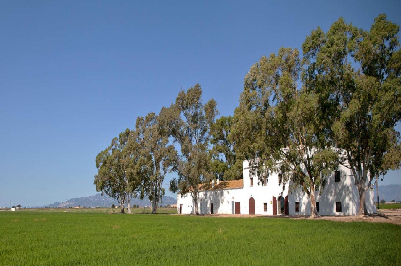 Mas Illa De Riu - Autentica Masia Del Delta Del Ebro Con Capacidad Para 20 Personas - Deltavacaciones Sant Jaume d'Enveja Luaran gambar