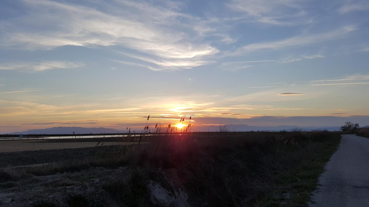 Mas Illa De Riu - Autentica Masia Del Delta Del Ebro Con Capacidad Para 20 Personas - Deltavacaciones Sant Jaume d'Enveja Luaran gambar