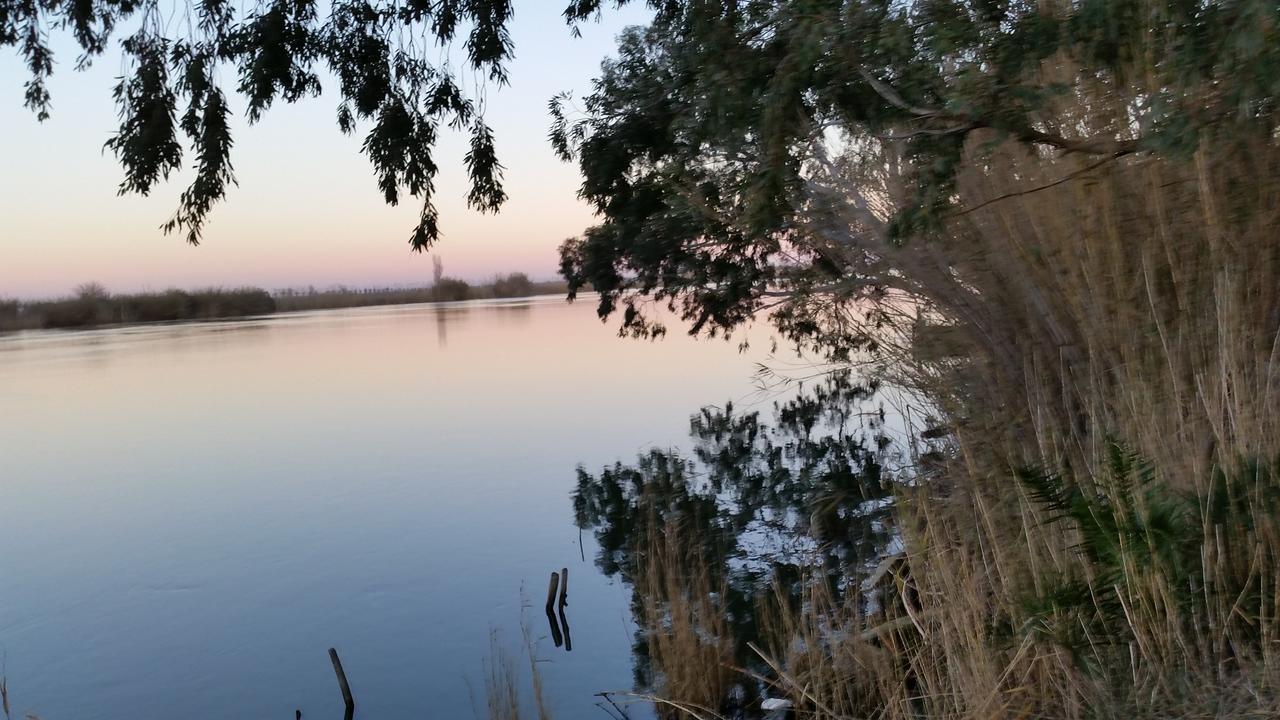 Mas Illa De Riu - Autentica Masia Del Delta Del Ebro Con Capacidad Para 20 Personas - Deltavacaciones Sant Jaume d'Enveja Luaran gambar