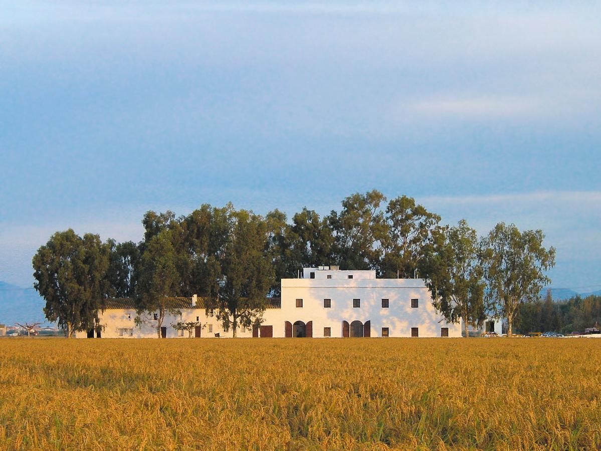Mas Illa De Riu - Autentica Masia Del Delta Del Ebro Con Capacidad Para 20 Personas - Deltavacaciones Sant Jaume d'Enveja Luaran gambar