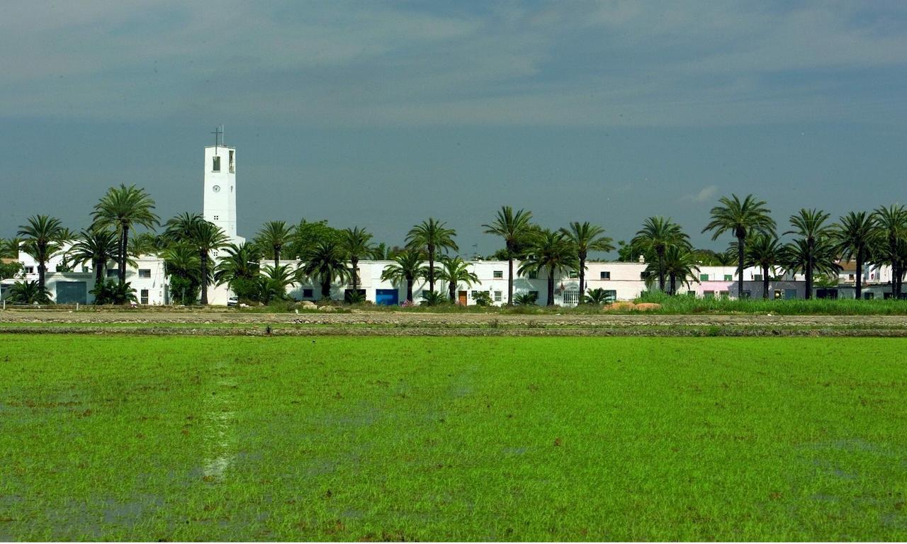 Mas Illa De Riu - Autentica Masia Del Delta Del Ebro Con Capacidad Para 20 Personas - Deltavacaciones Sant Jaume d'Enveja Luaran gambar