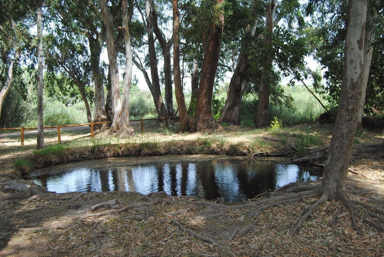 Mas Illa De Riu - Autentica Masia Del Delta Del Ebro Con Capacidad Para 20 Personas - Deltavacaciones Sant Jaume d'Enveja Luaran gambar
