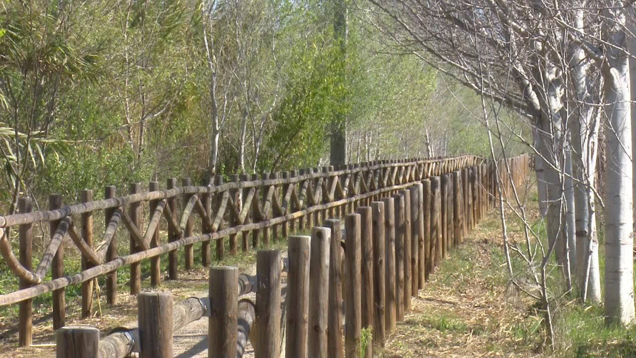 Mas Illa De Riu - Autentica Masia Del Delta Del Ebro Con Capacidad Para 20 Personas - Deltavacaciones Sant Jaume d'Enveja Luaran gambar